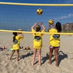 RPVA Action photo.jpg