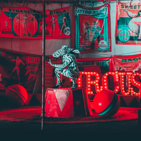 joshua-coleman-DToXMncNxlc-unsplash.jpg