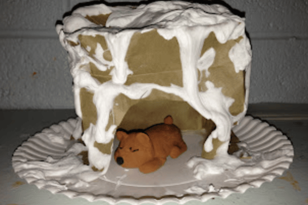 Hibernation Station: A Winter Workshop