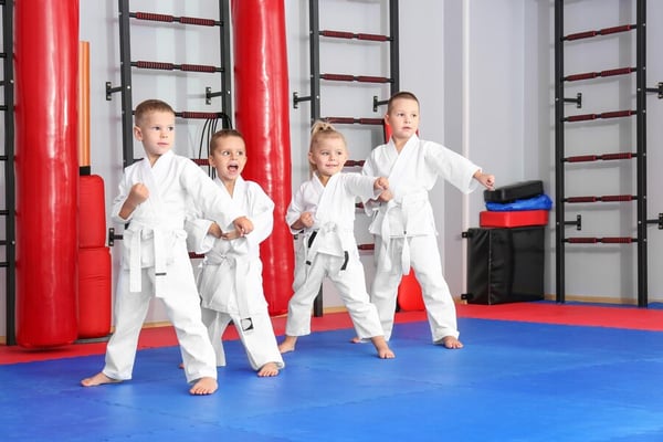 Mixed Martial Arts (MMA)
