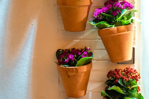 Little Green Thumbs: Paint and Plant