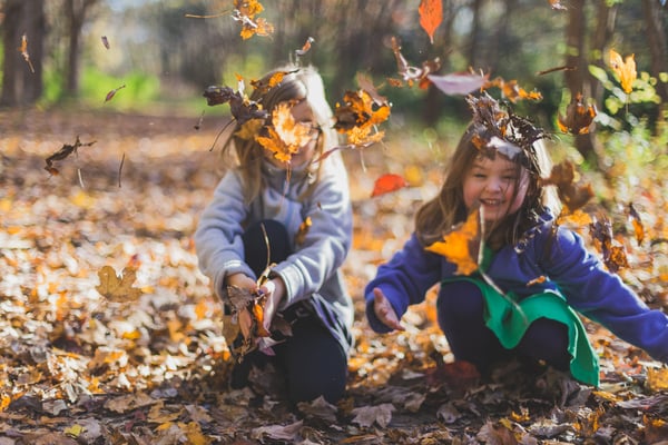 Fall into Gratitude