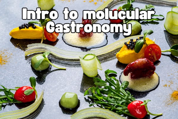 Molecular Gastronomy: Science of Food