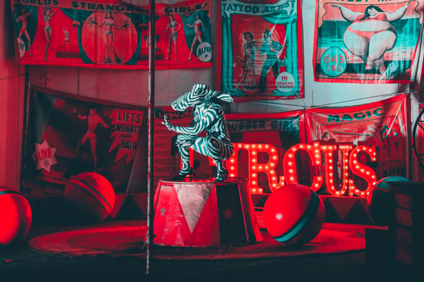 Under the Big Top: A Circus Workshop