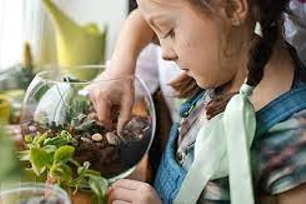 Mini Biome Builders