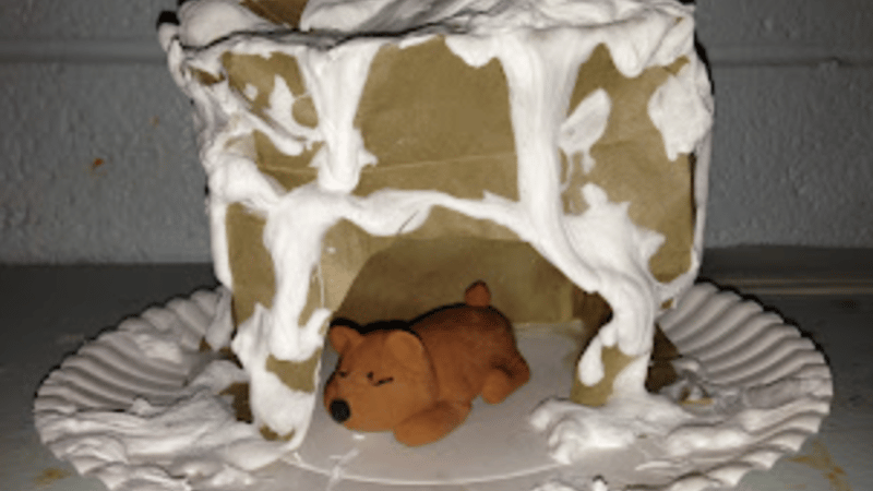 Hibernation Station: A Winter Workshop