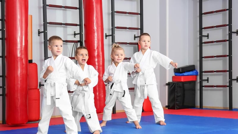 Mixed Martial Arts (MMA)