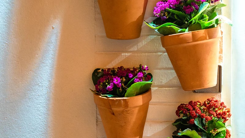 Little Green Thumbs: Paint and Plant