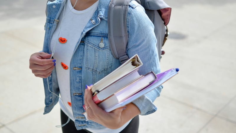 The Back to School Bunch