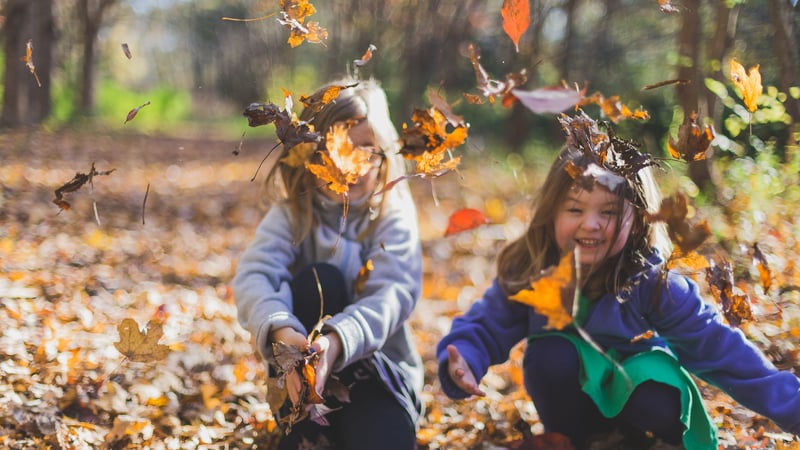 Fall into Gratitude