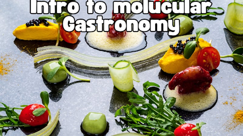 Molecular Gastronomy: Science of Food