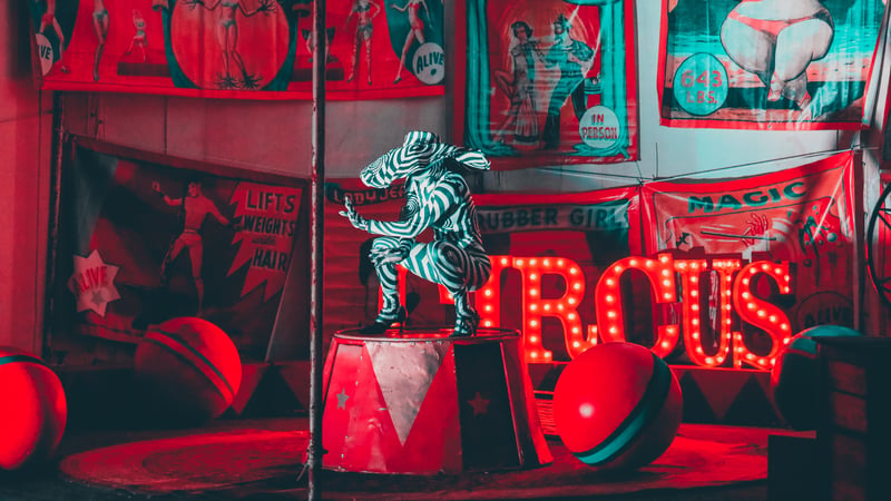 Under the Big Top: A Circus Workshop