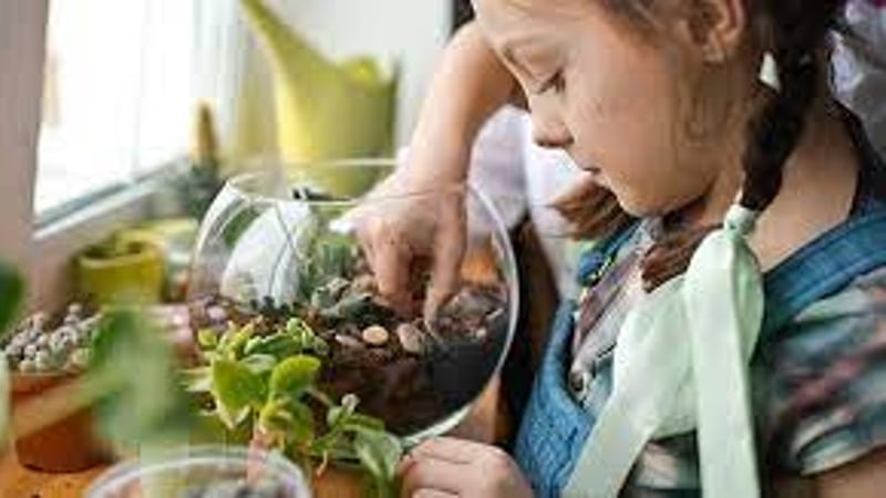 Mini Biome Builders