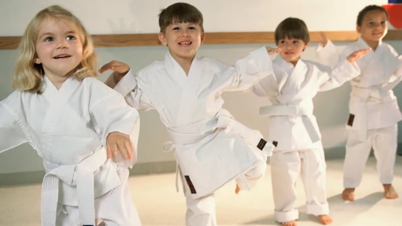 Little Ninjas: Mini Martial Arts
