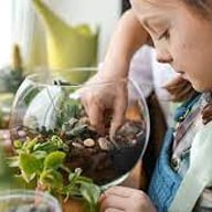 Mini Biome Builders