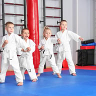 Mixed Martial Arts (MMA)
