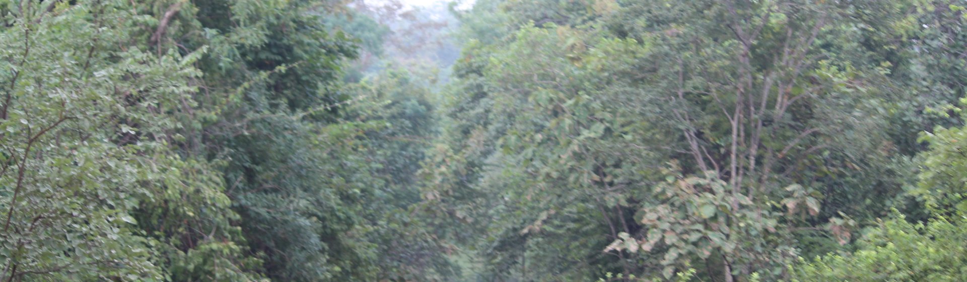 Eshwar T. background