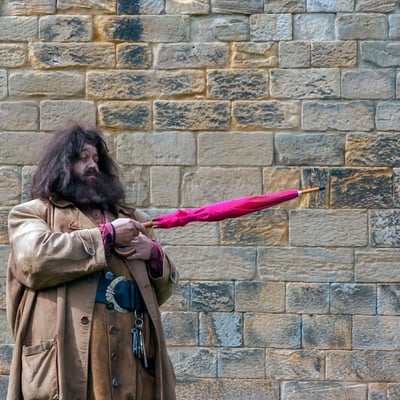 Harry Potter - hagrid.jpg
