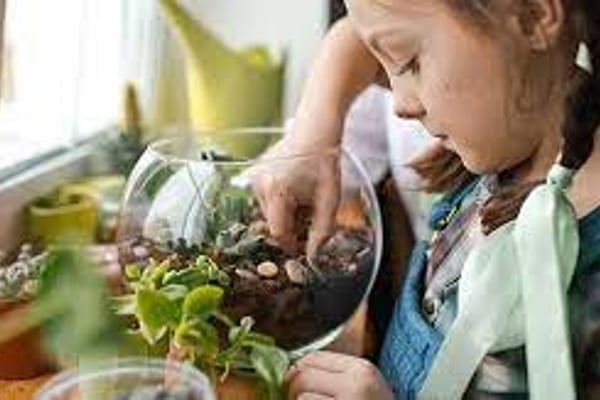 Mini Biome Builders