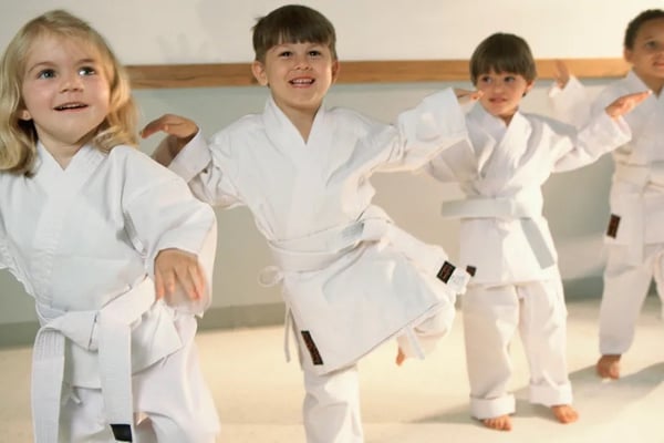 Little Ninjas: Mini Martial Arts