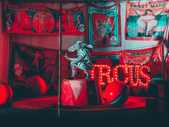 Under the Big Top: A Circus Workshop