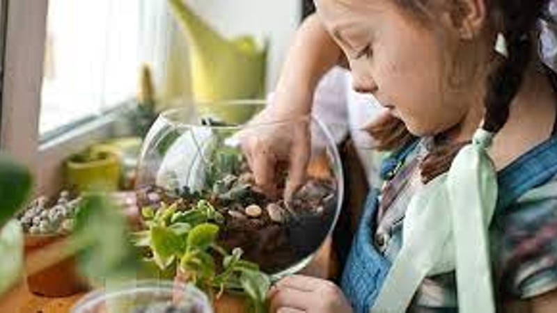 Mini Biome Builders