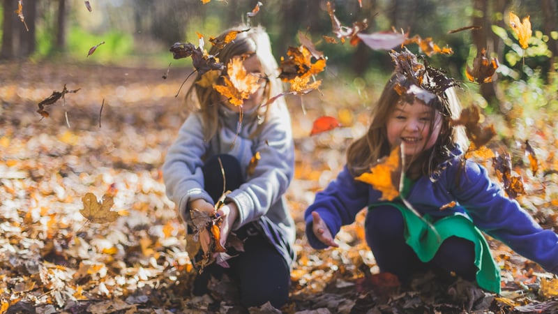 Fall into Gratitude