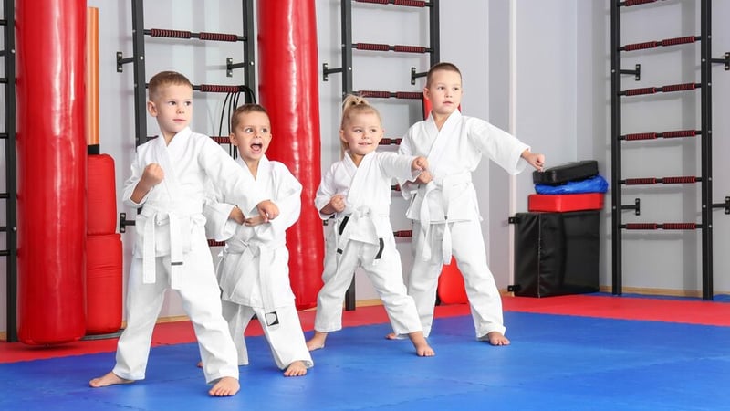Mixed Martial Arts (MMA)