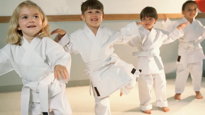 Little Ninjas: Mini Martial Arts
