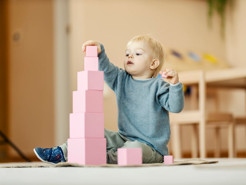 Montessori Schools